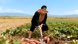 谁能陪我一起烤红薯